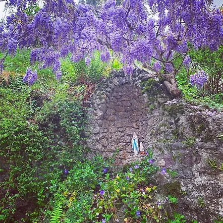 La Mansarda Di La Vite Apartment Bordogna