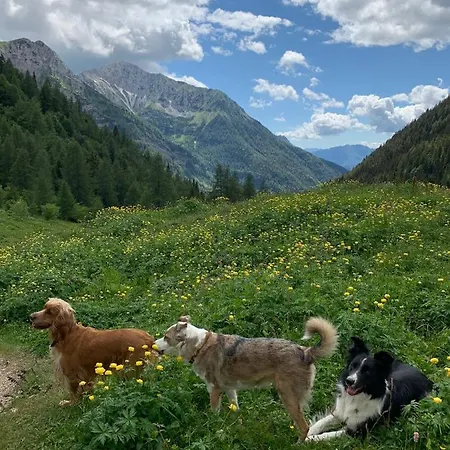 La Mansarda Di La Vite Apartment Bordogna
