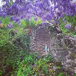 La Vite Daire Bordogna